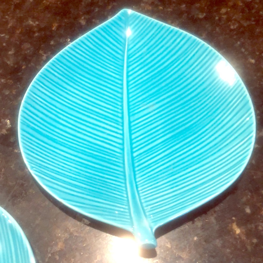 Medium size appetizer plates